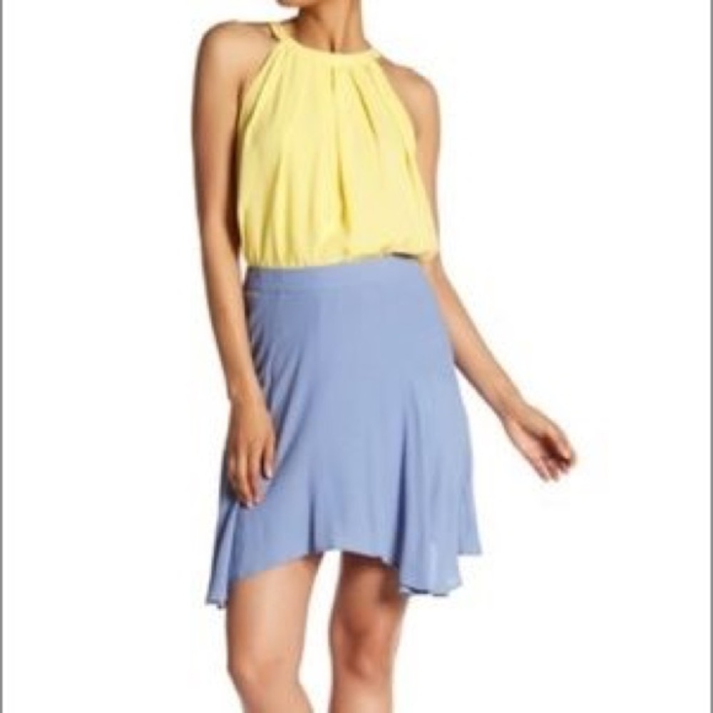 Marchesa Rose chambray asymmetrical flirty skirt